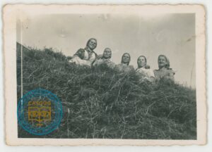 Kolekcja Anny Gambal