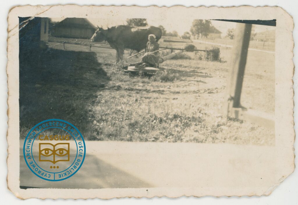 PL_1061_CASGUG_009_002_015