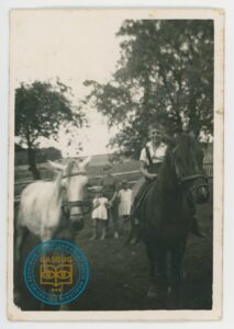 Kolekcja Anny Gambal