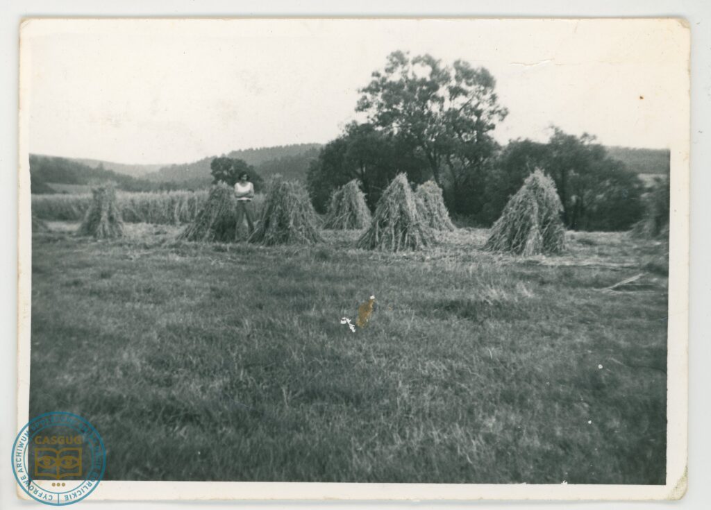 PL_1061_CASGUG_013_002_022