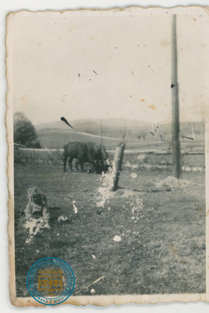 PL_1061_CASGUG_022_002_004