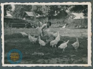 Na podwórku z kurami