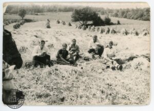 Żniwa pod Beskidkiem