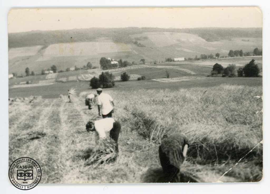 PL_1061_CASGUG_034_002_008