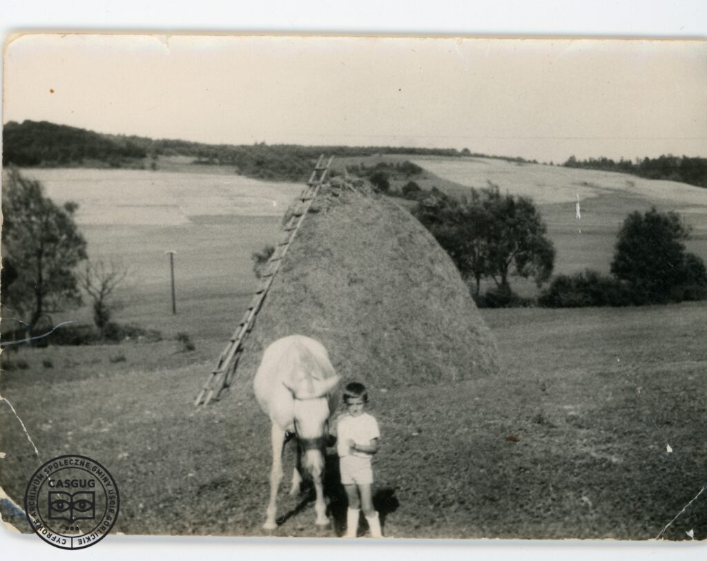 PL_1061_CASGUG_034_002_017