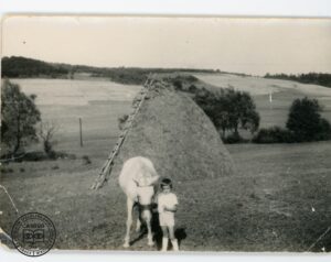 Stefan Bołdyś z klaczą