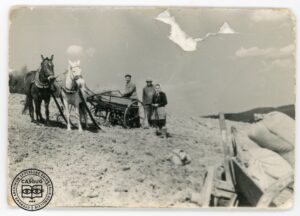 Wiosenny zasiew – Michał, Piotr i Melania Bołdyś