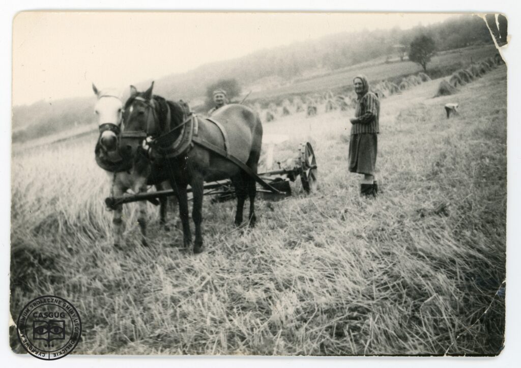 PL_1061_CASGUG_034_002_021