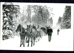 Pierwsze kuligi Stadniny Koni Siary