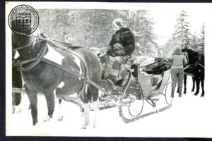 Pierwsze kuligi w Stadninie Koni Siary