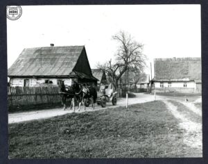 Włodzimierz Kario na bryczce, klacze Jagódka i Nasturcja