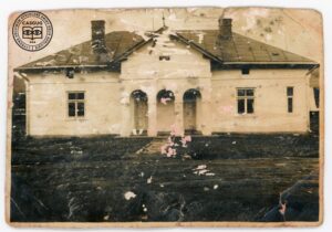 Kolekcja Igora Pyrcza z Kwiatonia