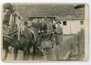 Furman – Stanisław Cycoń powozi wozem z gośćmi weselnymi Tadeusza Cebuli