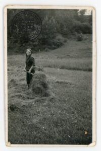 Maria Cycoń przy sianie