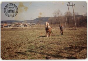 Stanisław Bozek z koniem